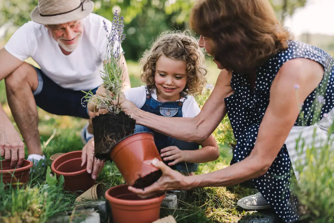 Abuelos y Nieta compartiendo tiempo en familia con actividades de jardineria divertida